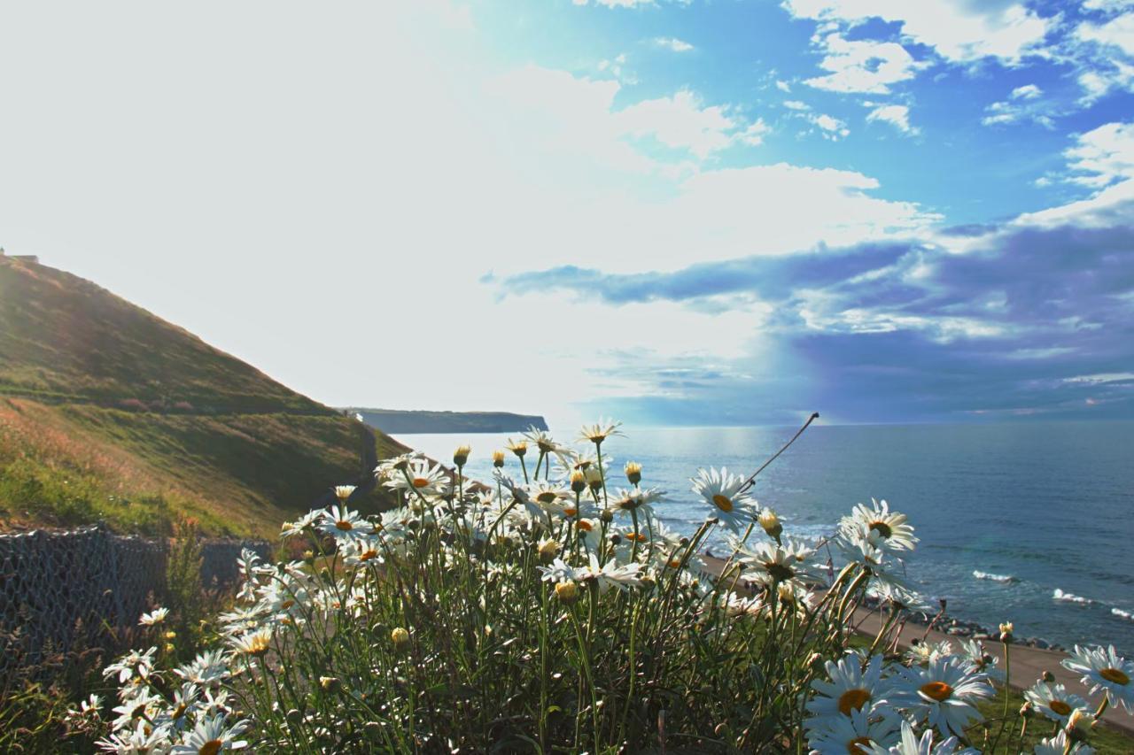 Hotel Haven Crest Whitby Exteriér fotografie